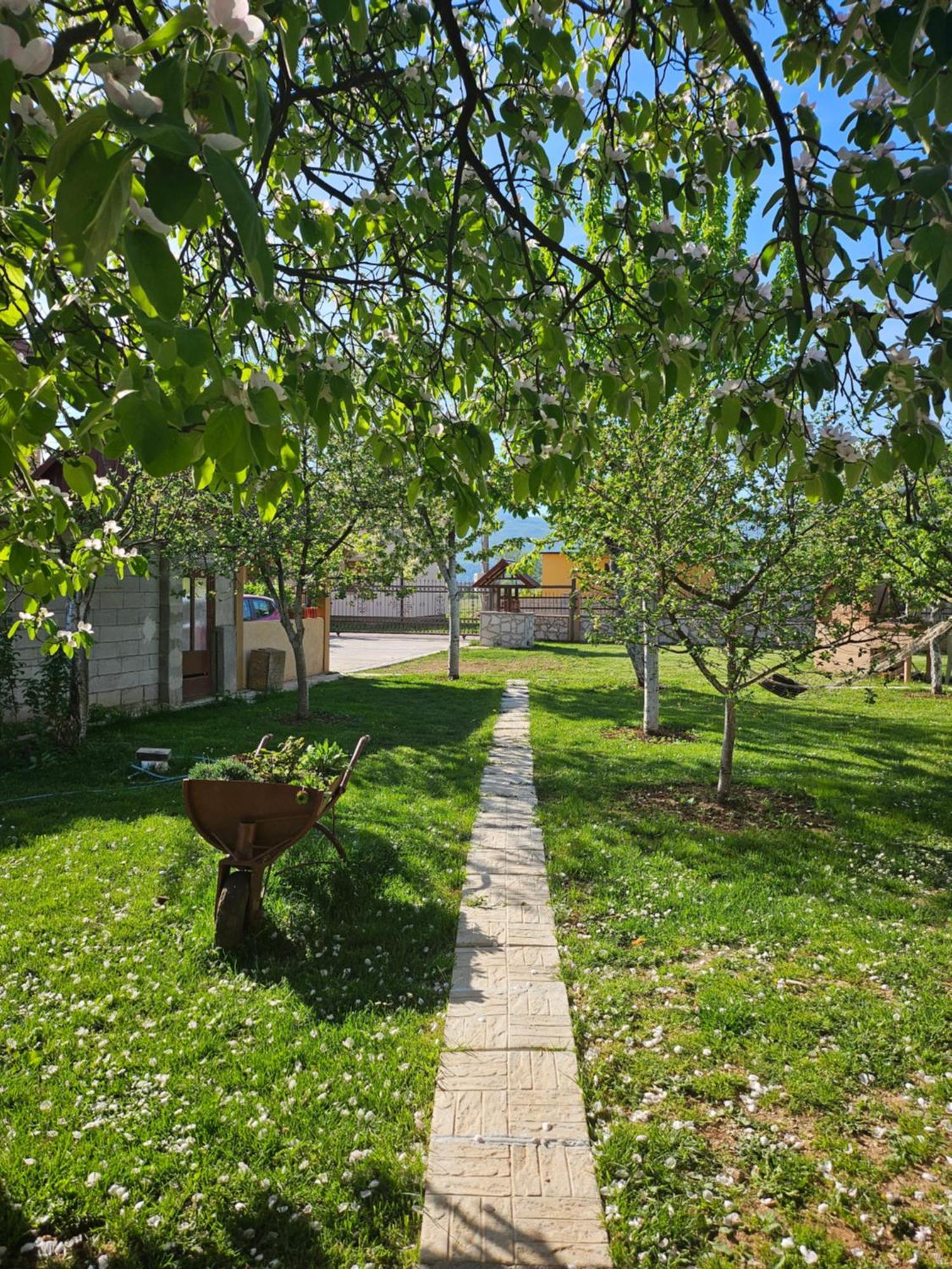 דירות Nikšić Calm Nest מראה חיצוני תמונה